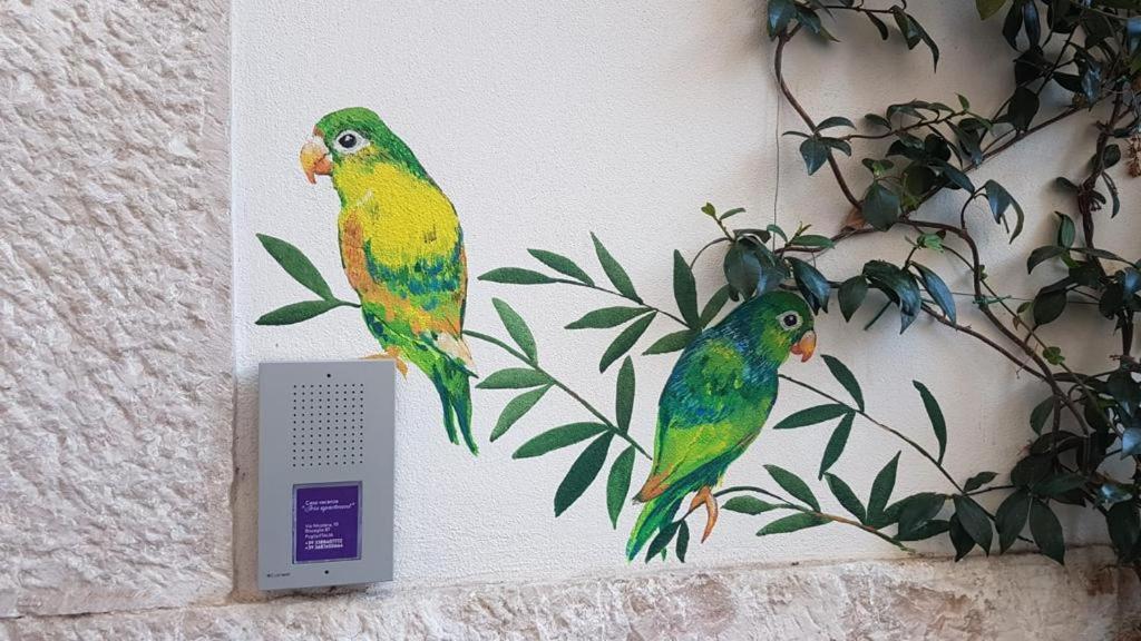 Iris Apartment بيشيلي المظهر الخارجي الصورة