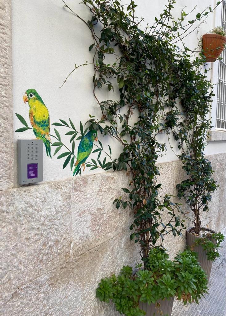 Iris Apartment, Comfort E Stile Nel Cuore Di بيشيلي المظهر الخارجي الصورة